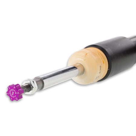 KW Coilovers KW Coilover Kit V2 BMW 3 Series F30 6-Cyl w/ EDC Bundle