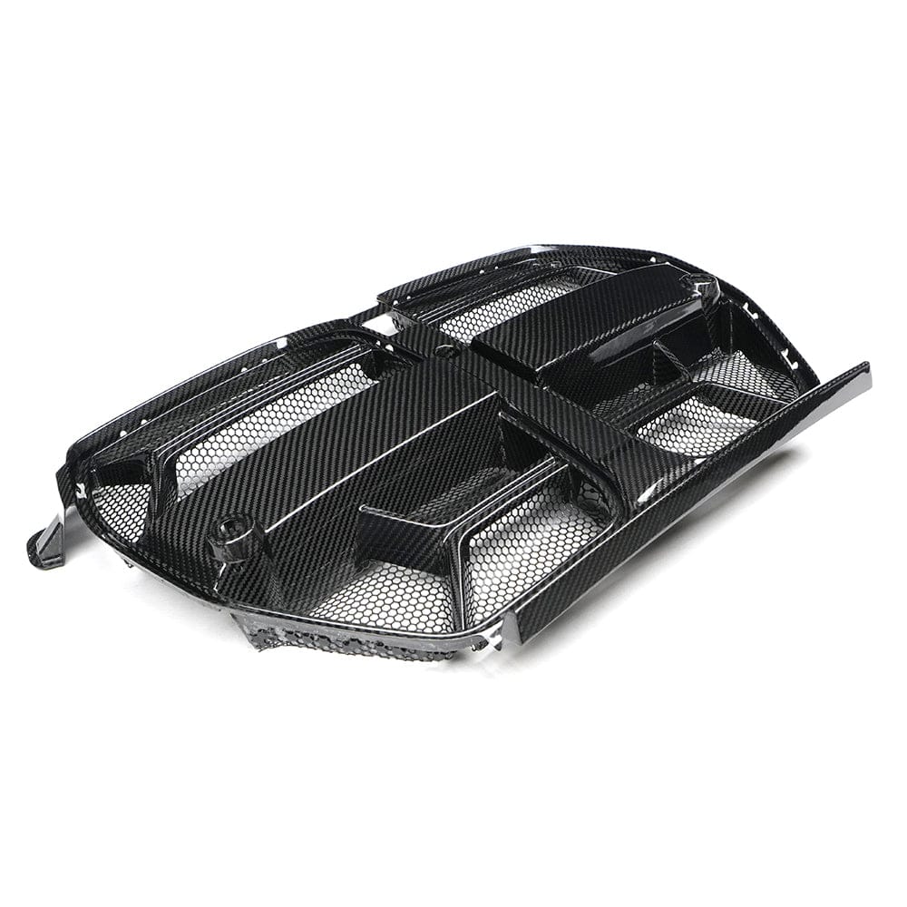 BMW / LAB Grilles G8X CSL Carbon Grille – With Mesh