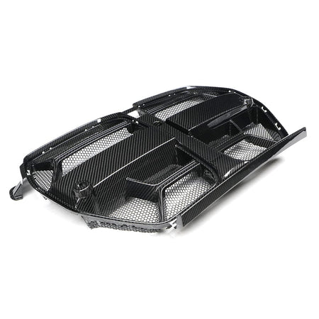 BMW / LAB Grilles G8X CSL Carbon Grille – With Mesh