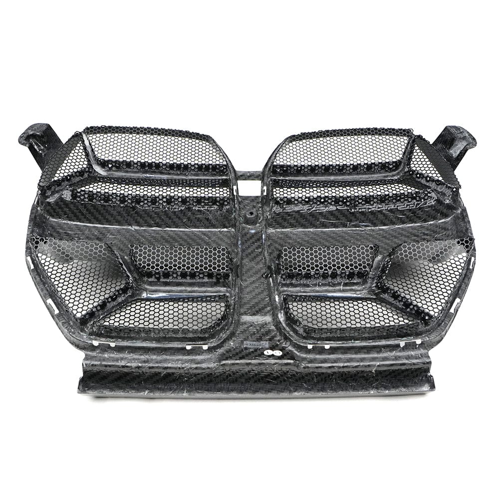 BMW / LAB Grilles G8X CSL Carbon Grille – With Mesh