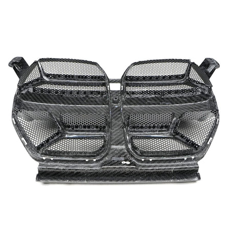 BMW / LAB Grilles G8X CSL Carbon Grille – With Mesh
