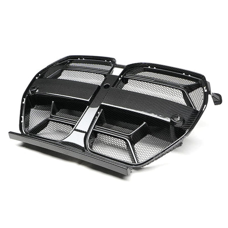 BMW / LAB Grilles G8X CSL Carbon Grille – With Mesh