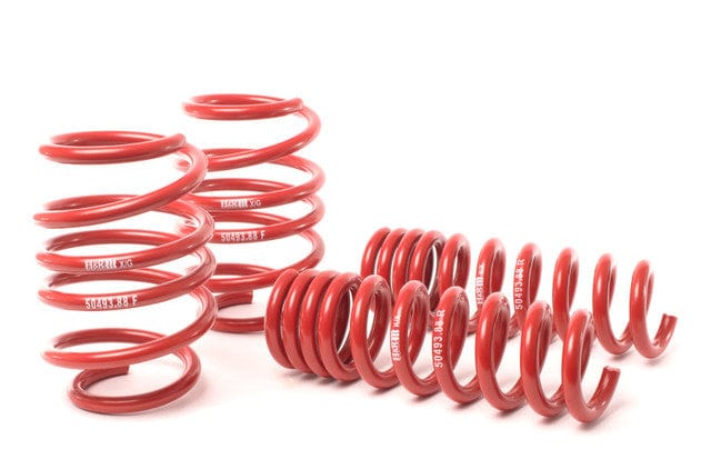 H&R Suspension H&R 08-13 BMW M3 Coupe/M3 Sedan E92 Race Spring