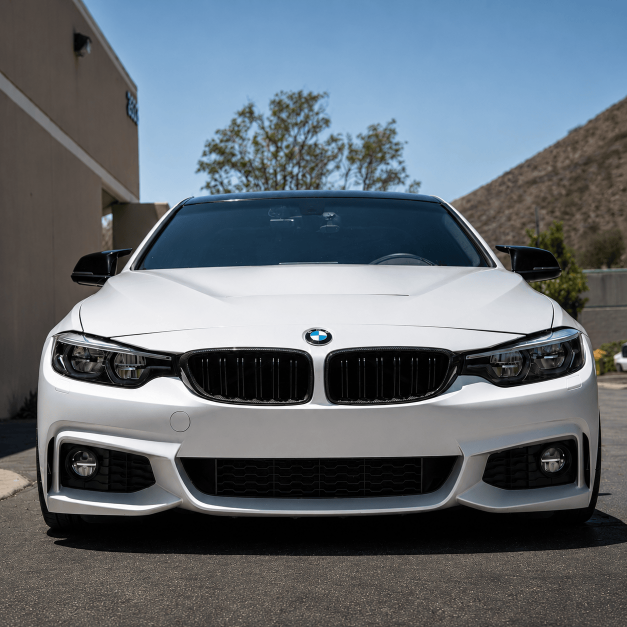 West Coast Euros Grille Carbon Fiber Grilles - BMW F80 M3 / F82 M4 / F32 4 Series