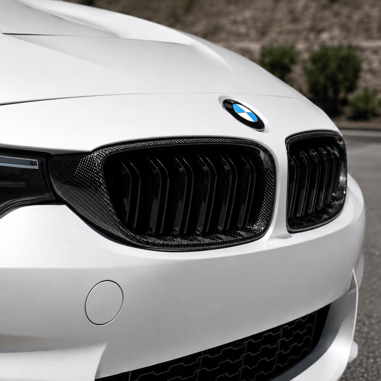 West Coast Euros Grille Carbon Fiber Grilles - BMW F80 M3 / F82 M4 / F32 4 Series