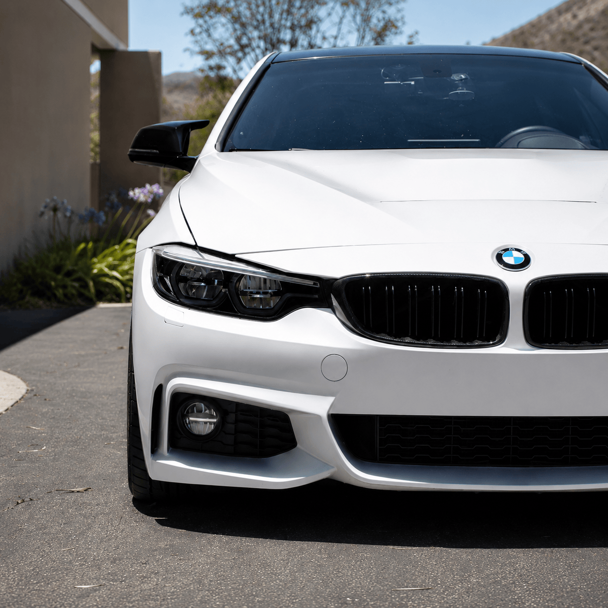 West Coast Euros Grille Carbon Fiber Grilles - BMW F80 M3 / F82 M4 / F32 4 Series