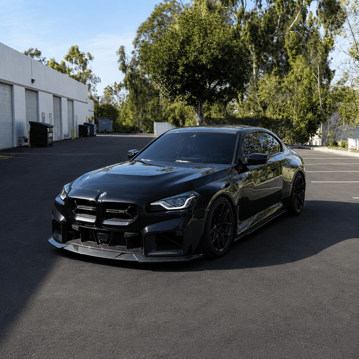 West Coast Euros Grille CSL Style Carbon Fiber Front Grille - BMW G87 M2