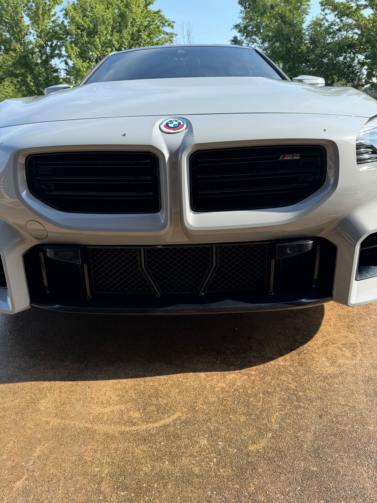 West Coast Euros Mesh Front Bumper Lower Mesh (5PC) - G87 M2