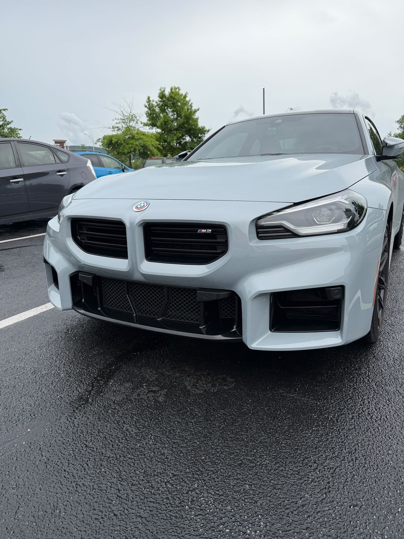 West Coast Euros Mesh Front Bumper Lower Mesh (5PC) - G87 M2