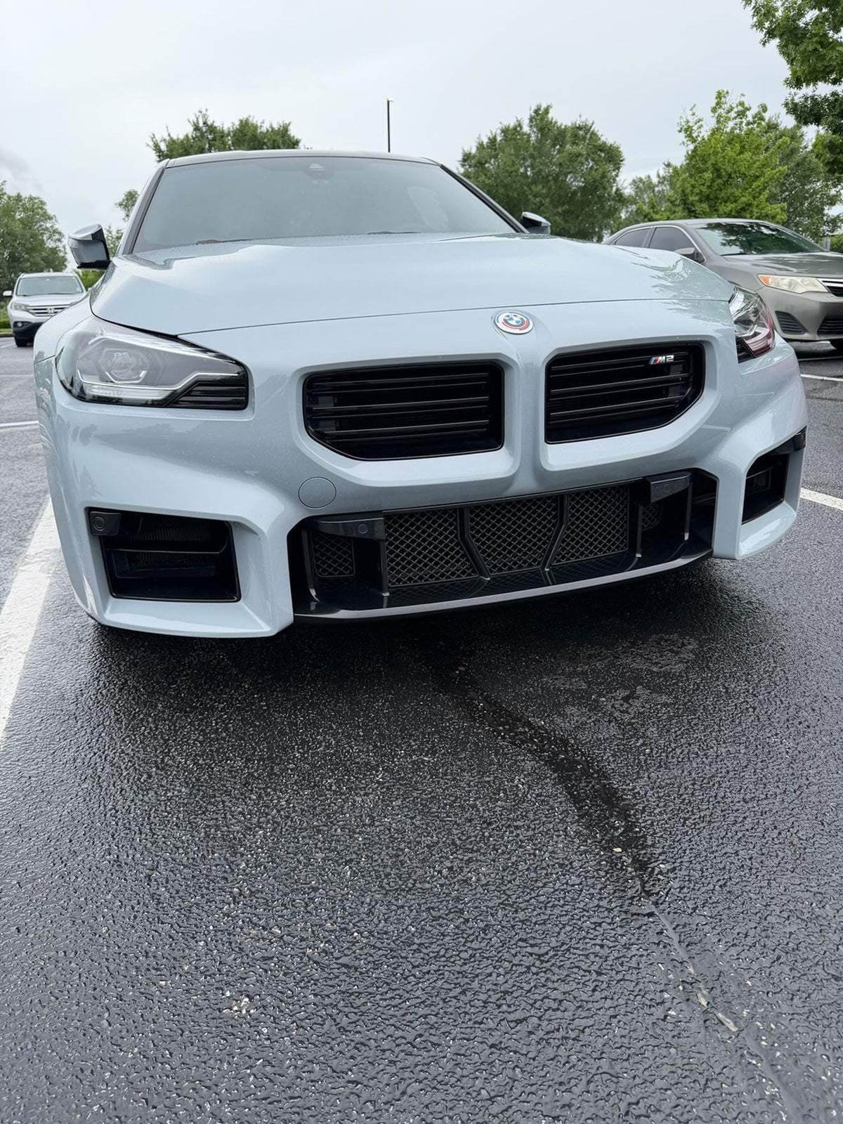 West Coast Euros Mesh Front Bumper Lower Mesh (5PC) - G87 M2