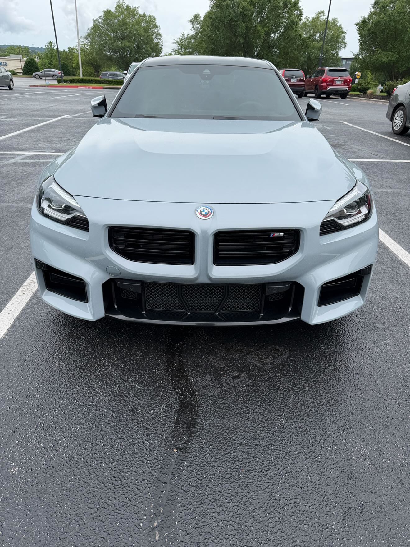 West Coast Euros Mesh Front Bumper Lower Mesh (5PC) - G87 M2