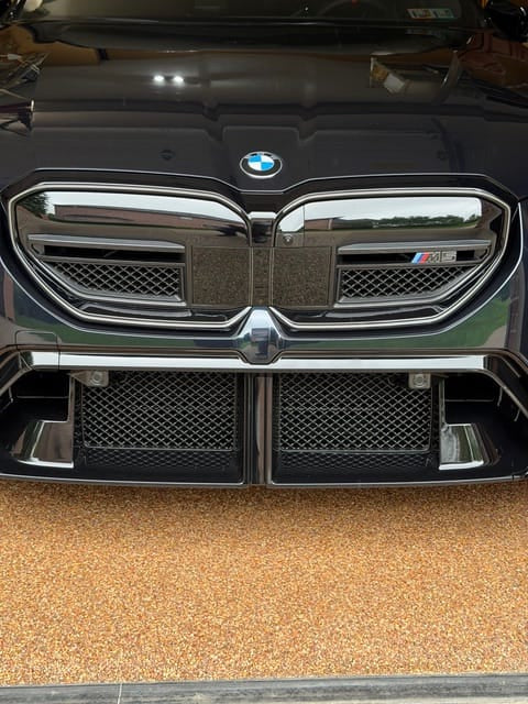 West Coast Euros Mesh Front Bumper Lower Protector Bug Rock Mesh (4PC) - G90 M5 / G99 M5