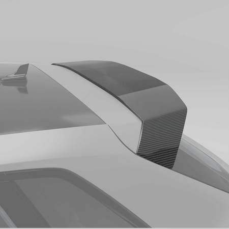West Coast Euros Spoiler Audi RS3 8Y Sportback Carbon Fiber Roof Spoiler